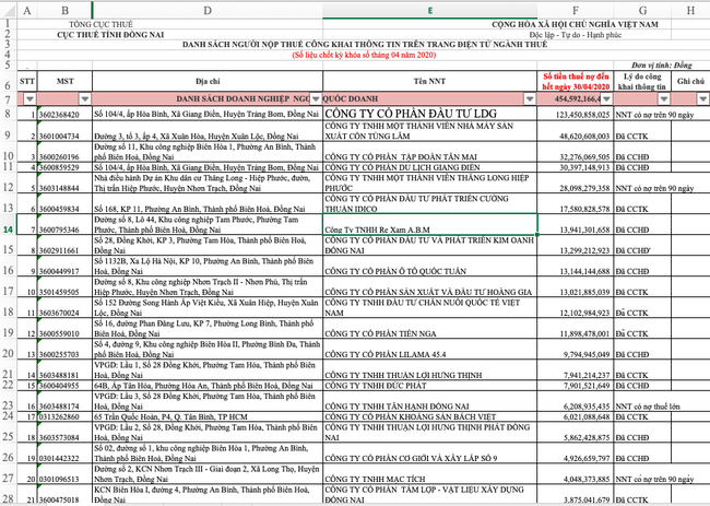 LDG Group tiếp tục ‘đội sổ’ danh sách nợ thuế khủng tại Đồng Nai - Ảnh 1.