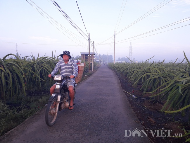 Đến “thủ phủ” thanh long, Phó Thủ tướng mong đây là nơi đáng sống - Ảnh 2.