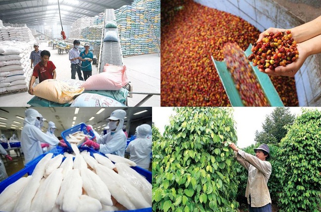 Xuất khẩu cao su, rau củ, thuỷ sản giảm, hạt điều và cà phê tăng  - Ảnh 2.