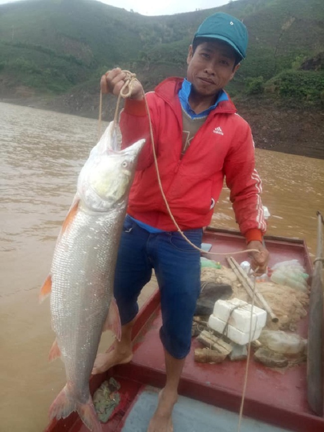 Theo chân ngư phủ săn “thủy quái” sông Đà - Ảnh 2.