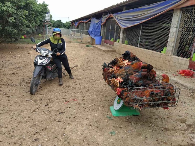 Giá cầm hôm nay 9/5: &quot;Vịt tươi, gà héo&quot;, bán chậm - Ảnh 2.