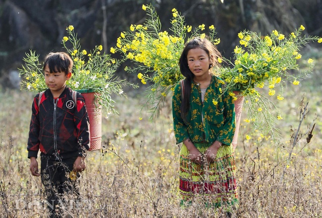 Nét đẹp lay động lòng người của trẻ em vùng cao Tây Bắc - Ảnh 10.