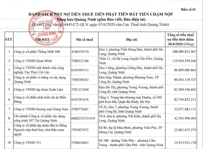 Quảng Ninh điểm mặt gần 400 doanh nghiệp ''chây ì'' nợ thuế  - Ảnh 2.