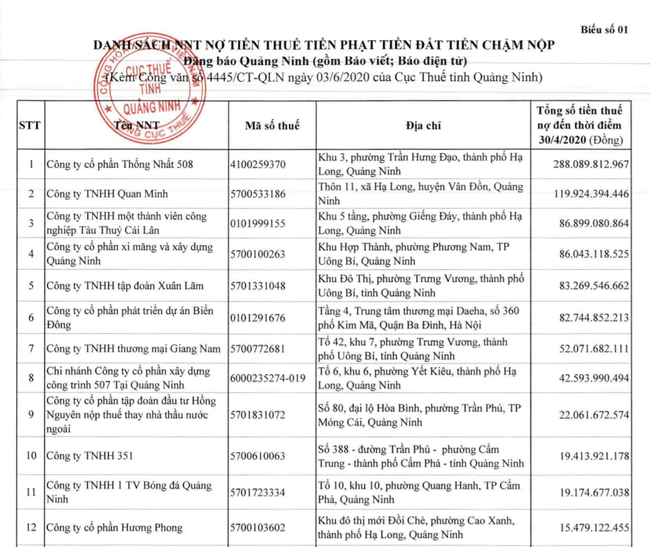 Quảng Ninh: Nhiều DN lớn nợ thuế cả trăm tỷ đồng - Ảnh 2.