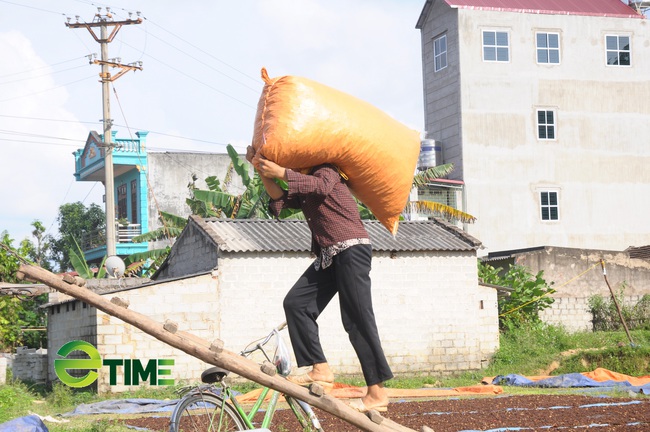 Lạng Sơn: Tập trung phát triển chuỗi giá trị 4 sản phẩm nông nghiệp chủ lực - Ảnh 1.