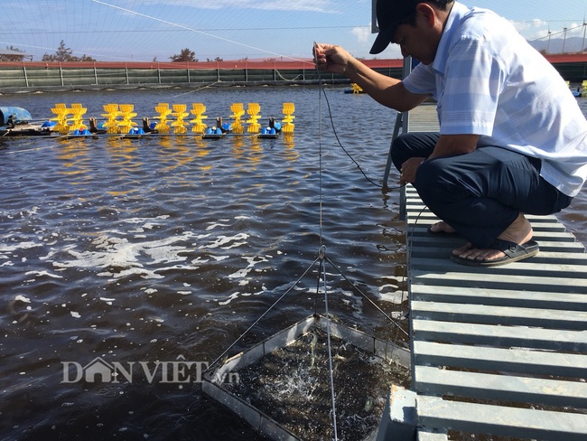 Chấm sơ khảo Cuộc thi “Làm nông thời công nghệ 4.0”:  23 dự án xuất sắc vào chung khảo từ 668 hồ sơ - Ảnh 5.