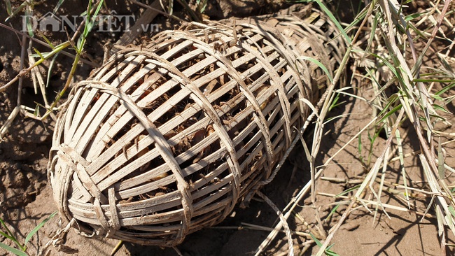 Chị em dùng “tuyệt chiêu” ra bờ sông thả thính, kiếm nửa triệu mỗi ngày. - Ảnh 3.