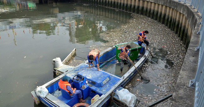 TP.HCM: Kiến nghị chi gần 150 tỷ đồng để nạo vét các tuyến sông, kênh rạch - Ảnh 1.