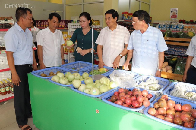 Nam Định: Cho tôm “ở chung nhà” với cá, nông dân thành tỷ phú - Ảnh 3.