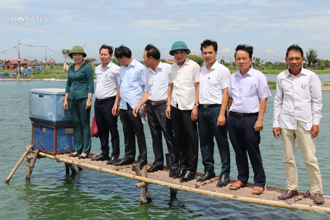 Nam Định: Cho tôm “ở chung nhà” với cá, nông dân thành tỷ phú - Ảnh 1.