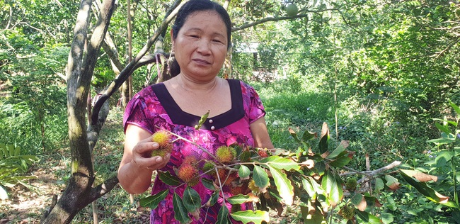 (Báo giấy) Vỡ tan giấc mộng thoát nghèo - Ảnh 1.