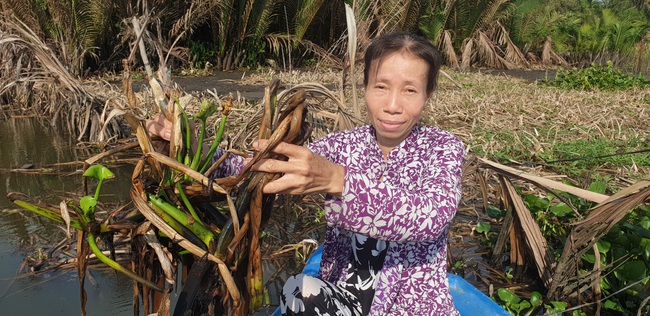 (Báo giấy) Vỡ tan giấc mộng thoát nghèo - Ảnh 2.