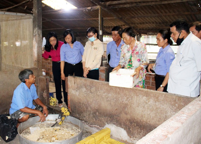 Nuôi ruồi lính đen lấy ấu trùng cho gà – cá ăn, lão nông thu nửa tỷ/năm - Ảnh 5.