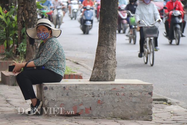 Hà Nội: Cây xanh ven đường đang bị 'bóp cổ' bằng xi măng, bê tông - Ảnh 3.