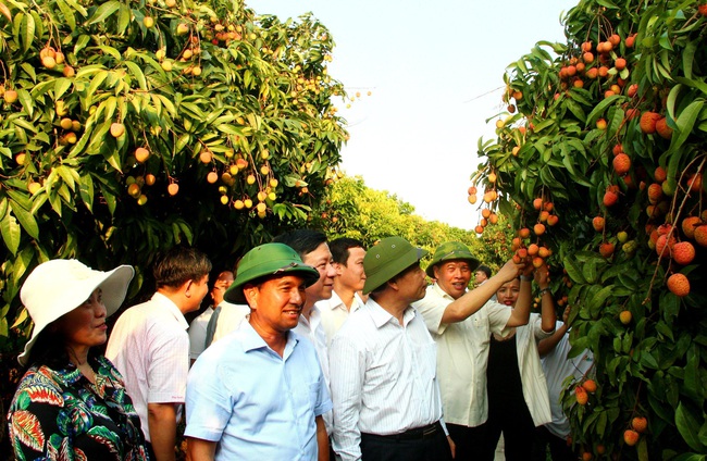 (Báo giấy) Singapore tìm nguồn cung nông sản Việt Nam - Ảnh 2.