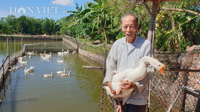 Thái Bình: Thương binh cụt 1 chân, 85 tuổi vẫn miệt mài làm kinh tế - Ảnh 2.