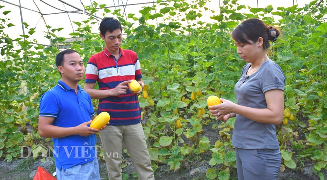 Lục Yên khát vọng chặng đường mới - Ảnh 1.