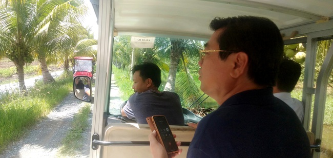 Sếp hãng taxi trồng bưởi thu 30 tỷ mỗi năm - Ảnh 1.