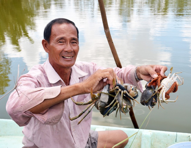 Nuôi tôm, cua “khác người”, lão nông đất Mũi lãi tiền tỷ - Ảnh 1.