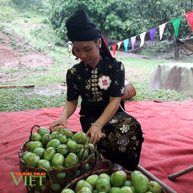 Trồng cây ăn quả trên đất dốc, dân nơi đây khấm khá hẳn lên - Ảnh 2.