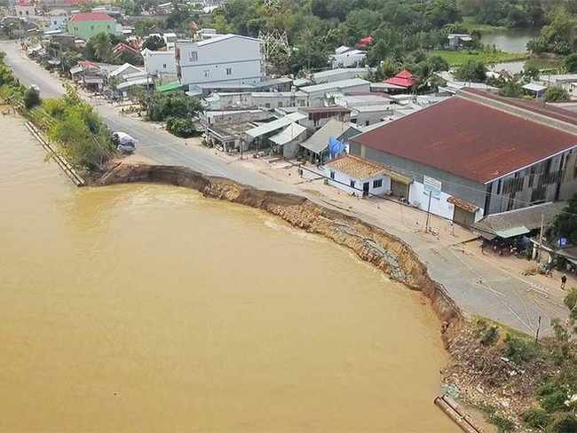 Mất “tấm áo giáp” bảo vệ bờ sông, bờ biển - Ảnh 1.