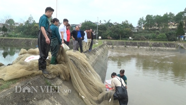 Ở đây cá giống được “tập thể dục” trước khi xuất bán cho nông dân - Ảnh 1.