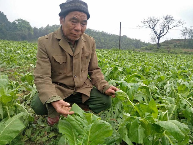 Nguy cơ gia tăng hộ nghèo do tác động kép từ Covid-19, hạn hán: Nỗi lo tái nghèo sau thiên tai  - Ảnh 1.