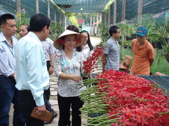 Khai thác “mỏ vàng” du lịch nông nghiệp - Ảnh 1.