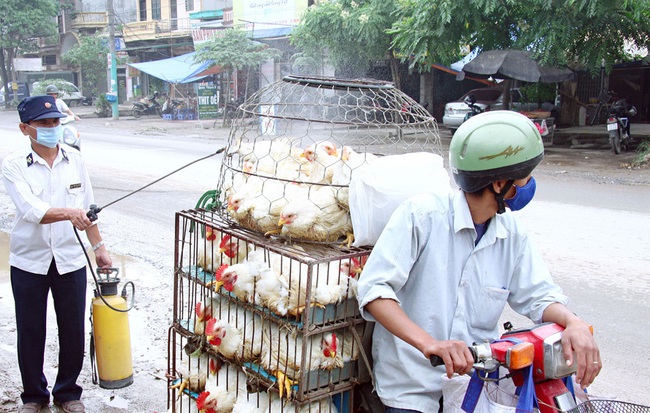 Đảm bảo an toàn sản phẩm thịt gia súc, gia cầm ở Hà Nội: Kiểm soát lưu thông, chốt chặt nguồn gốc  - Ảnh 1.