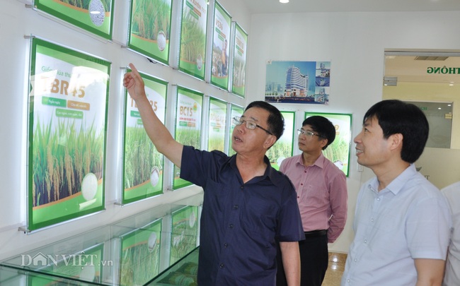 Phó Chủ tịch Hội ND Việt Nam thăm trung tâm sản xuất giống hiện đại bậc nhất ở Việt Nam - Ảnh 1.