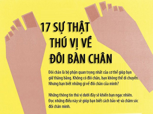 17 sự thật ít biết về bàn chân - Ảnh 1.