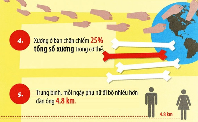 17 sự thật ít biết về bàn chân - Ảnh 3.