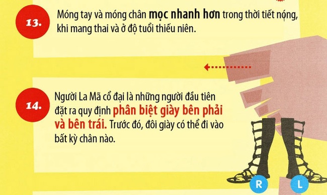 17 sự thật ít biết về bàn chân - Ảnh 6.