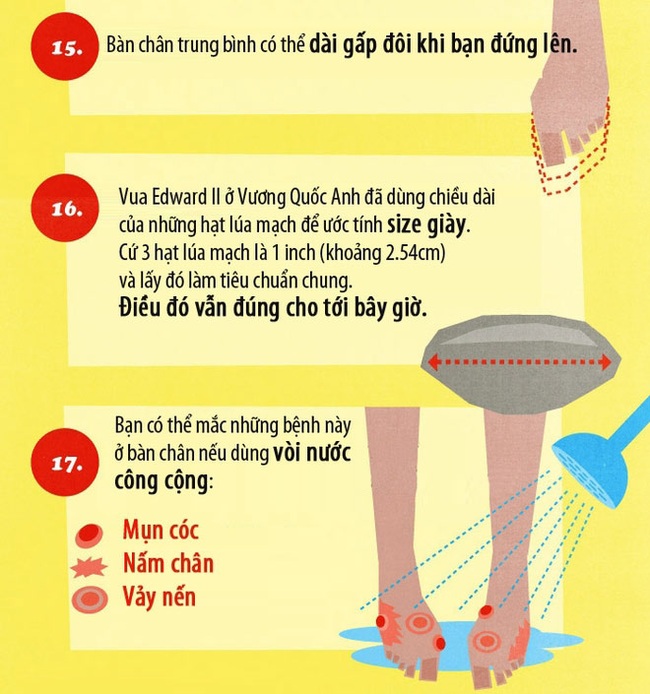 17 sự thật ít biết về bàn chân - Ảnh 7.