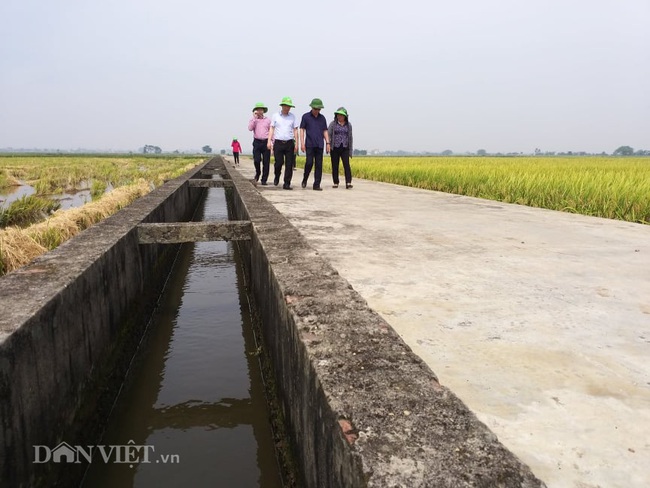 Phó Chủ tịch Hội ND Việt Nam thăm trung tâm sản xuất giống hiện đại bậc nhất ở Việt Nam - Ảnh 4.