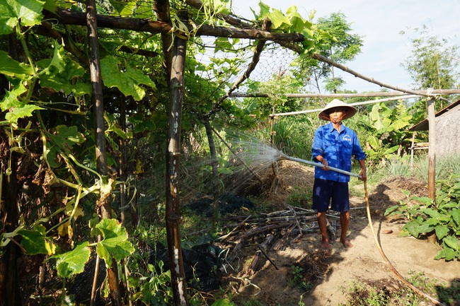 Quảng Nam: Rau hữu cơ Thanh Đông gặp khó sau dịch Covid-19 - Ảnh 5.