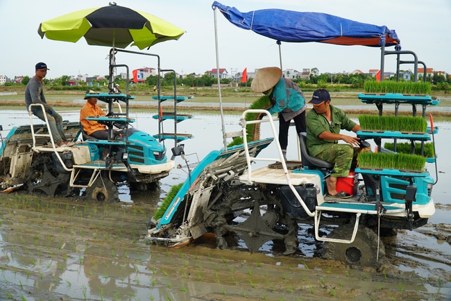 Thúc đẩy cơ giới hóa sản xuất lúa các tỉnh phía Bắc - Ảnh 1.