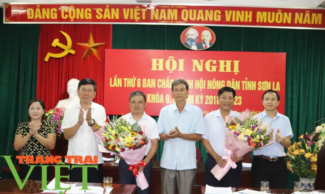 Hội Nông dân tỉnh Sơn La bầu bổ sung 2 Uỷ viên Ban Chấp hành - Ảnh 4.