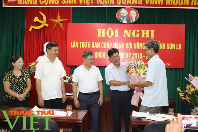 Hội Nông dân tỉnh Sơn La bầu bổ sung 2 Uỷ viên Ban Chấp hành - Ảnh 3.