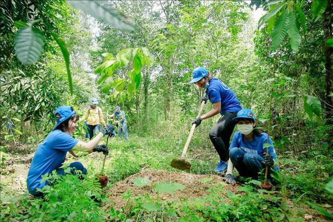 Ngành gỗ tái cấu trúc, phát triển bền vững sau Covid-19 - Ảnh 1.