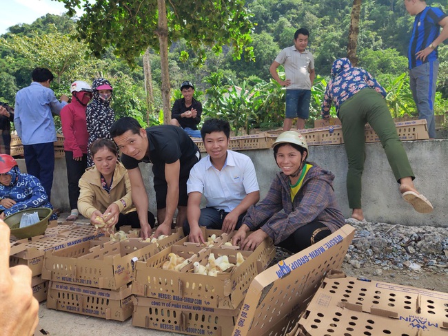 Mavin hỗ trợ sinh kế cho người nghèo huyện Như Xuân, Thanh Hóa - Ảnh 3.