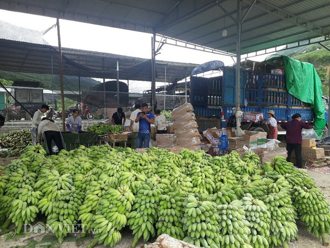 Lai Châu: Khai trừ khỏi Đảng một trường hợp sử dụng văn bằng không hợp pháp - Ảnh 2.