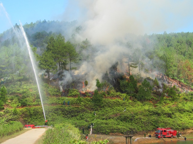 Ngăn chặn nguồn lửa gây cháy rừng ngày nắng nóng - Ảnh 3.
