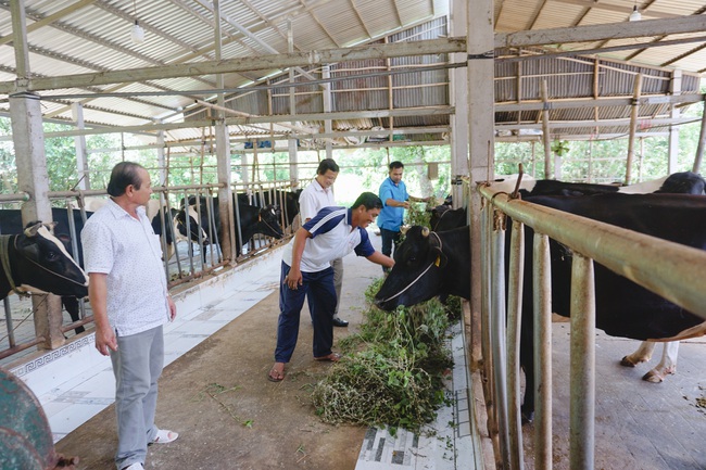 Sóc Trăng có huyện nông thôn mới đầu tiên - Ảnh 2.