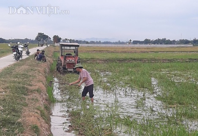 Thanh Hóa: Huy động hàng trăm máy bơm dầu dã chiến để cứu cây lúa - Ảnh 2.