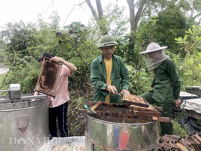 CLIP: Mang ong đi đặt nhờ, quay mỏi tay, mỗi tháng có trăm triệu - Ảnh 2.