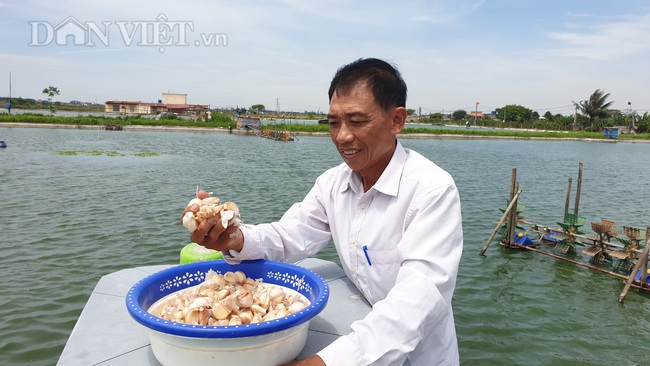 Nam Định: Nuôi cá trắm khủng bằng thảo dược, lão nông bỏ túi tiền tỷ  - Ảnh 1.