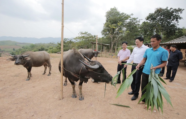 Tạo bước chuyển mình ở vùng “lõi nghèo” của đất nước - Ảnh 1.