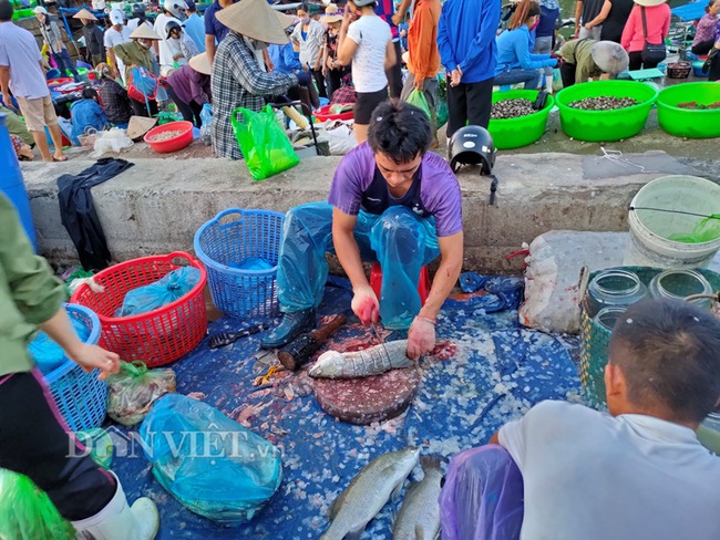 Đi săn hải sản tươi rói ở cảng cá Hạ Long lúc tinh mơ - Ảnh 8.