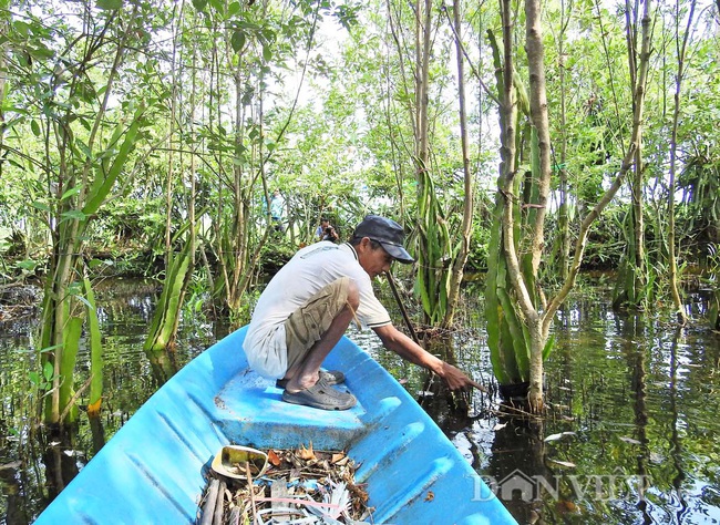 “Bắt tay” phát triển bền vững nông nghiệp ĐBSCL  - Ảnh 1.